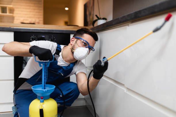Best Best Pest Control Companies  in Mansfield, LA