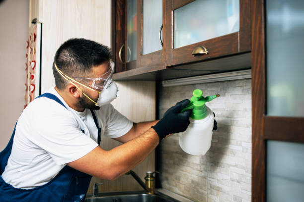 Best Cockroach Control Services  in Mansfield, LA