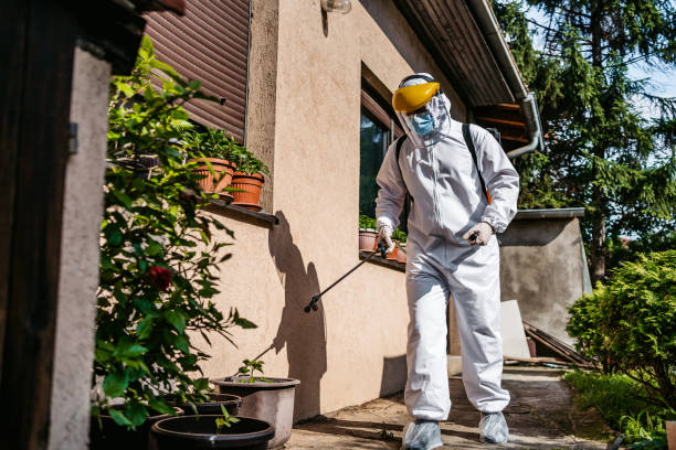 Best Pest Control for Restaurants  in Mansfield, LA