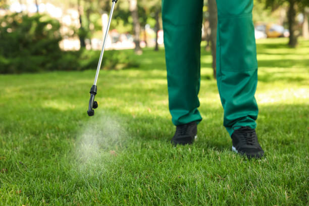 Best Best Pest Control Companies  in Mansfield, LA