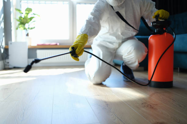 Best Flea Control Services  in Mansfield, LA