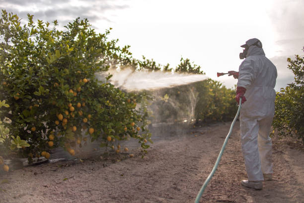 Best Pest Prevention Services  in Mansfield, LA