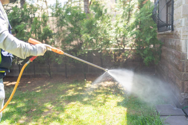 Best Exterminator Services  in Mansfield, LA