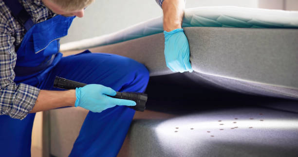 Best Local Pest Control Services  in Mansfield, LA
