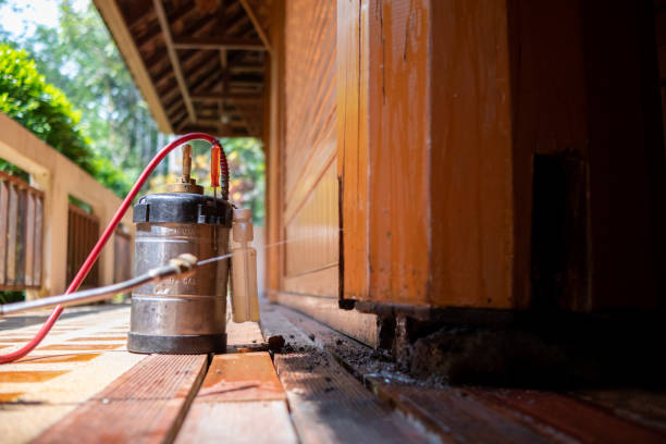Pest Control for Restaurants in Mansfield, LA