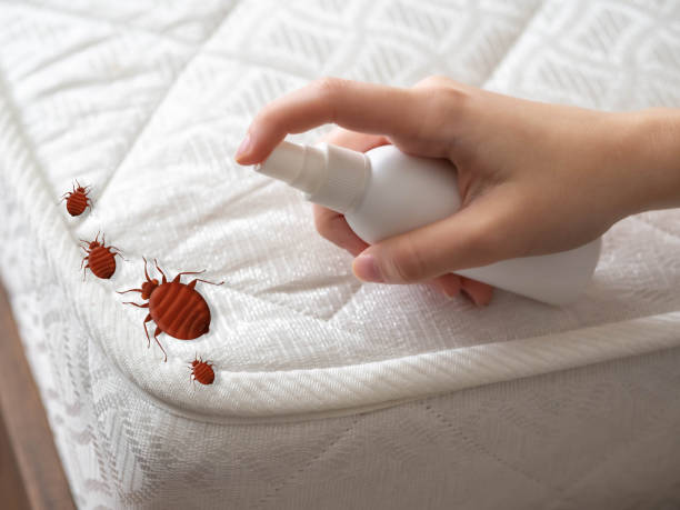 Best Pest Inspection Near Me  in Mansfield, LA