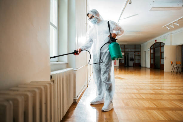 Best Insect Control  in Mansfield, LA