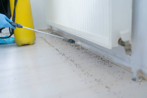 Best Affordable Pest Control Services  in Mansfield, LA
