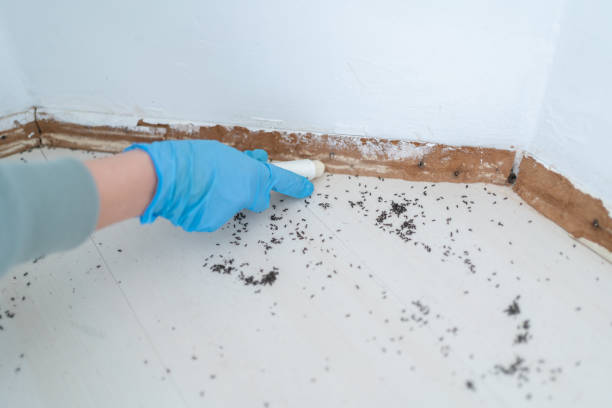 Best Exterminator Services  in Mansfield, LA