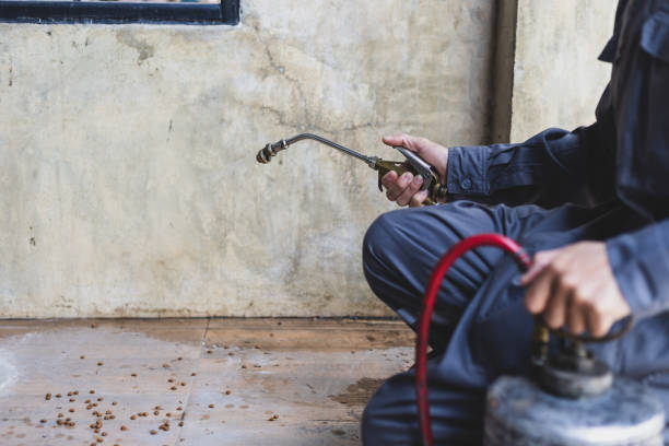 Professional Pest Control in Mansfield, LA