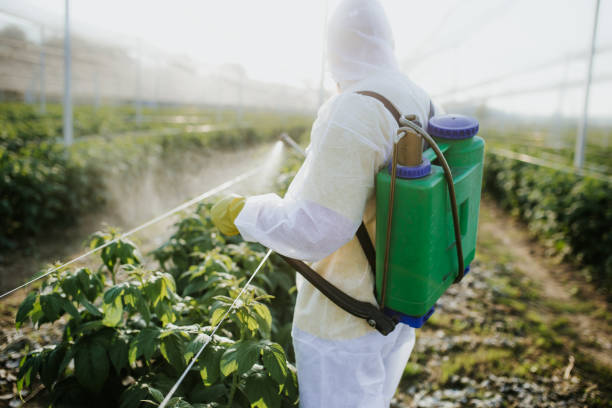 Best Pest Removal Services  in Mansfield, LA